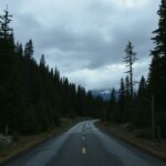 track-artwork